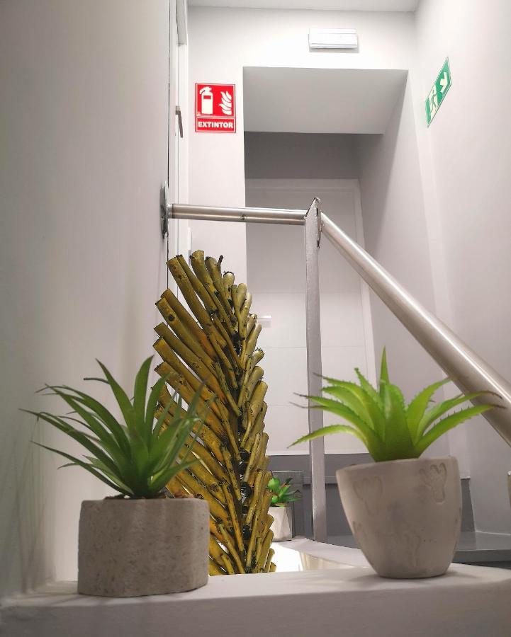 ERES EMÉRITA Apartamentos&Suites PARKING GRATUITO Mérida Exterior foto
